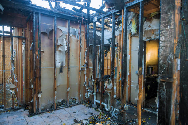 Professional Structural Rebuild technician working in Holliday, TX